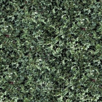 Изделия из Хибинита